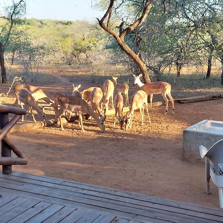 Khumbula Iafrica 1 Villa Marloth Park Exterior photo