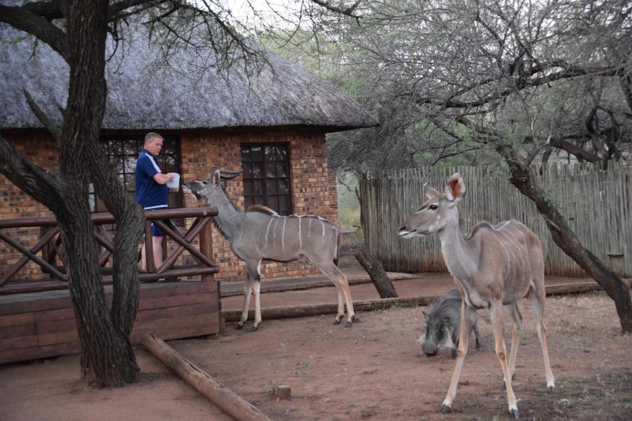Khumbula Iafrica 1 Villa Marloth Park Exterior photo