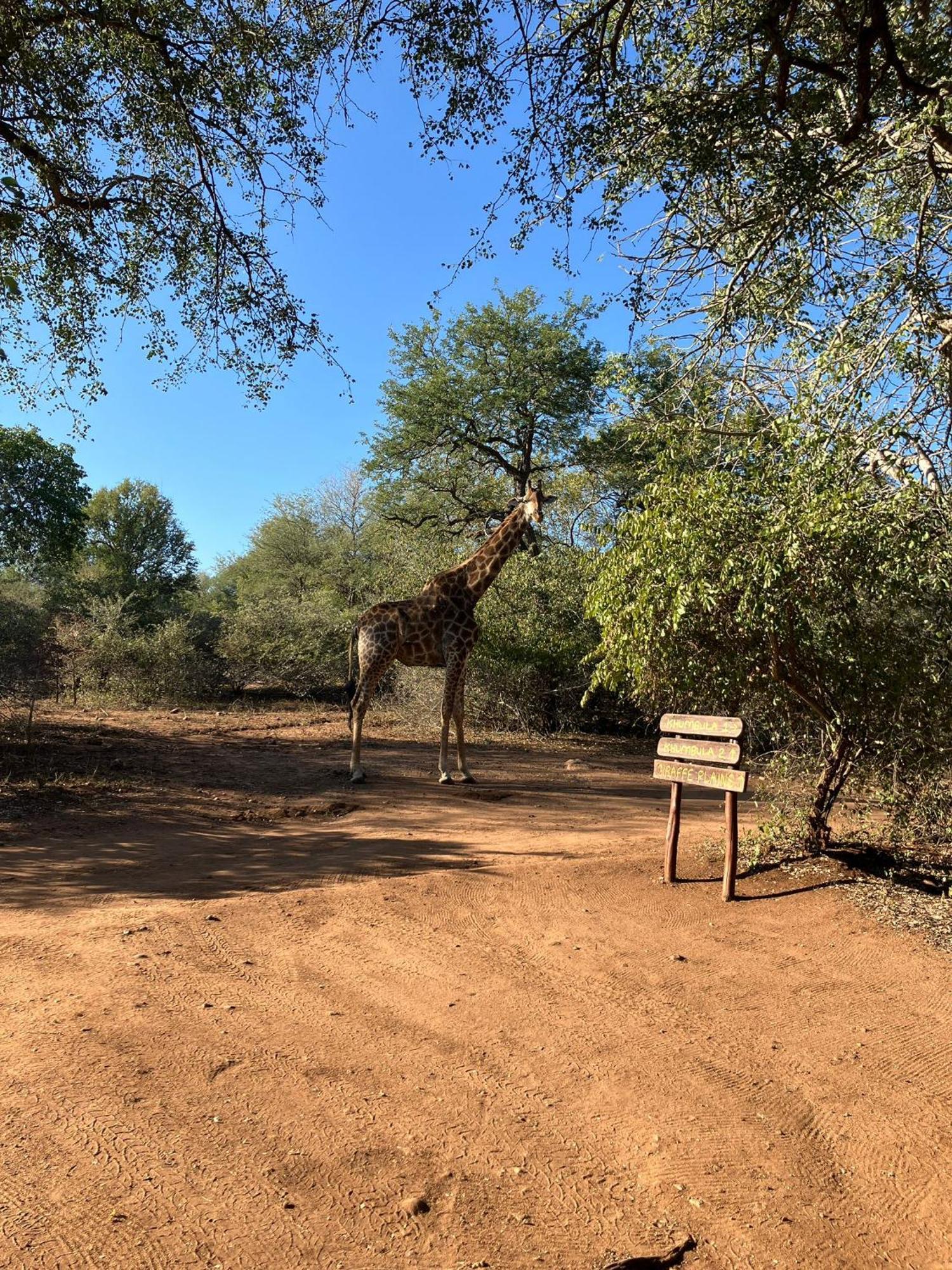 Khumbula Iafrica 1 Villa Marloth Park Exterior photo