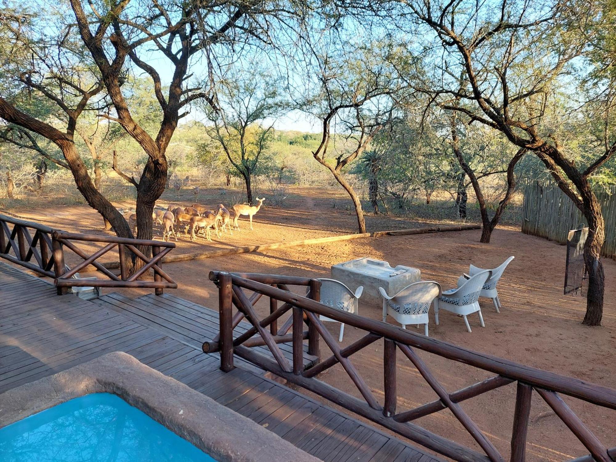 Khumbula Iafrica 1 Villa Marloth Park Exterior photo